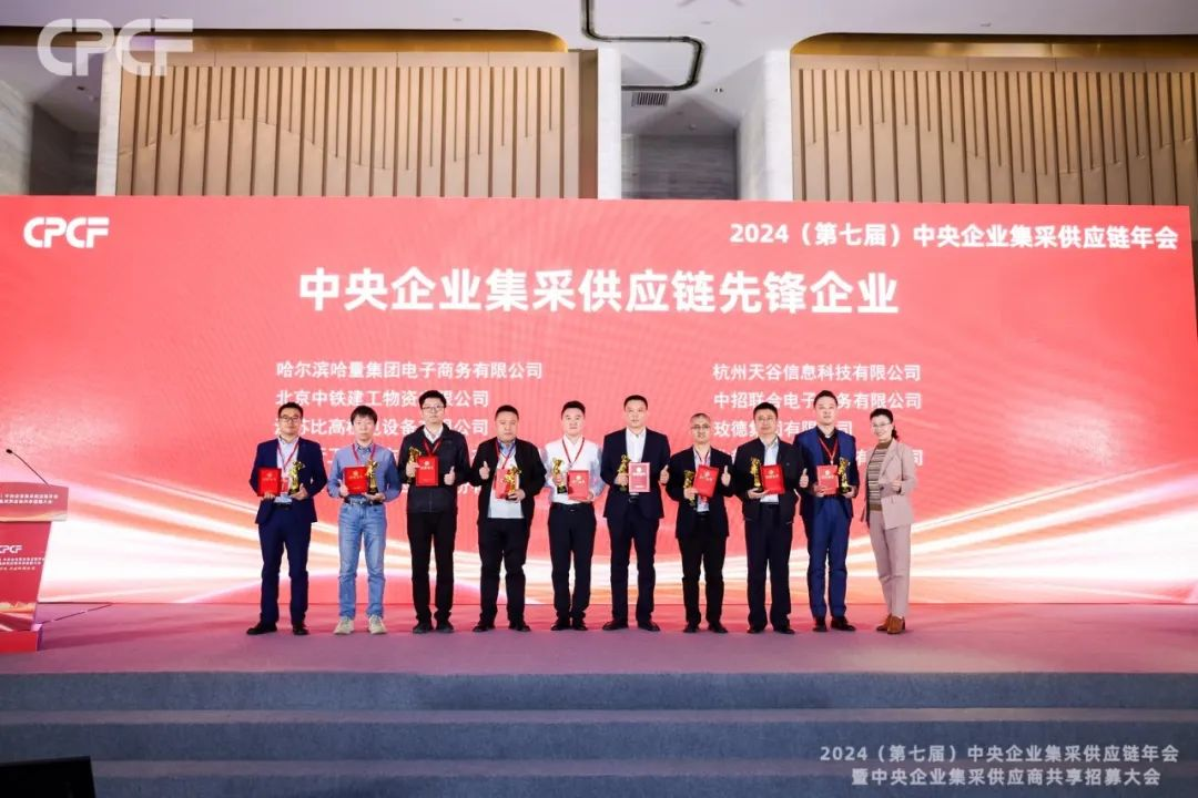喜报！彩霸王官网荣获2024年度（CPCF）中央企业集采供应链年会先锋企业荣誉称号