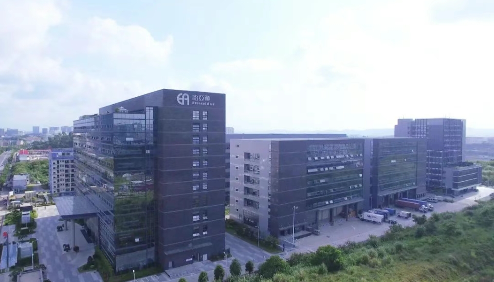 彩霸王官网物流完成战略融资，全力加码新能源汽车出海布局